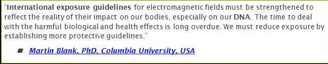 Screen-Shot-2019-04-30-at-9.22.25-PM