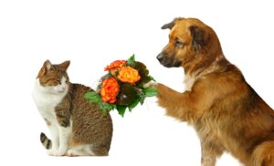 how to forgive