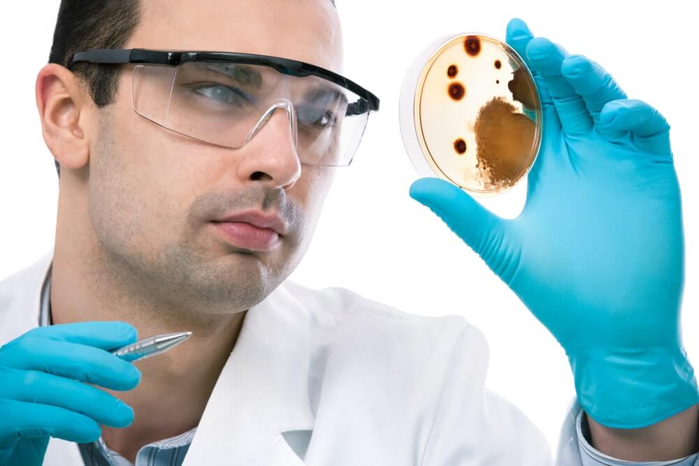 scientist looking at a petri dish