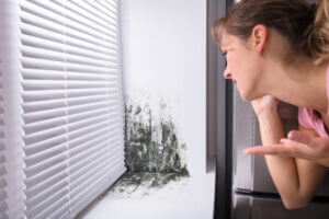 the effects of mold in the home