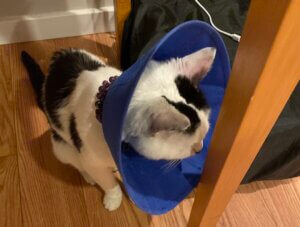 tuk tuk feeling stuck