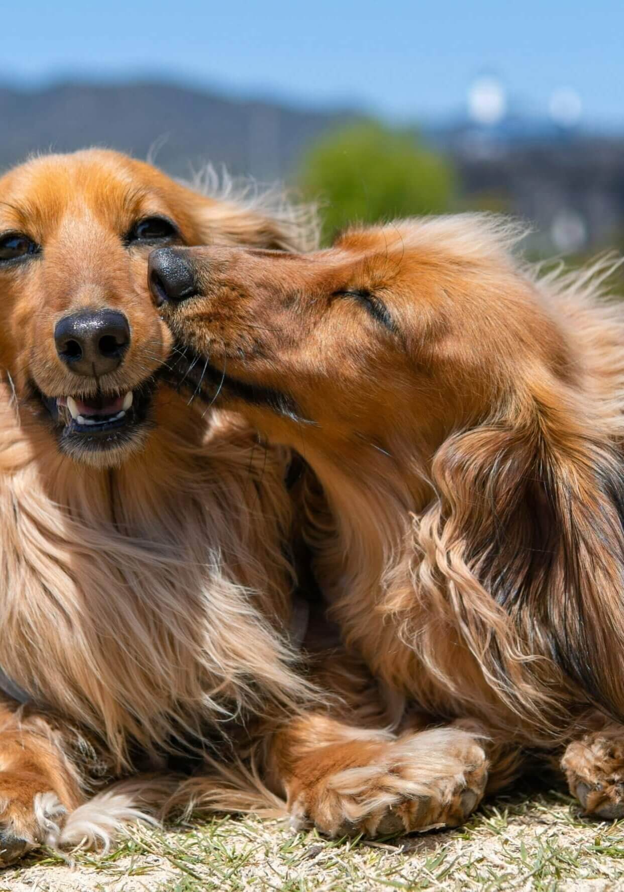 brother sister love